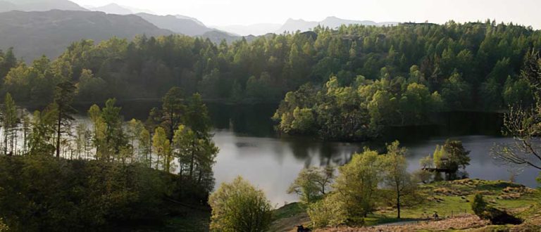 MD Baltimore main 768x330