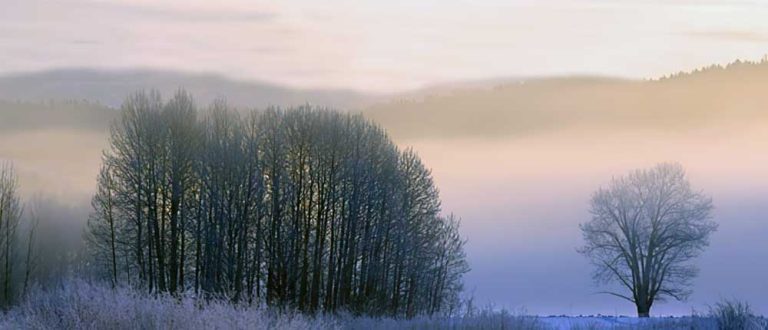 ann arbor 1000x430 1 768x330