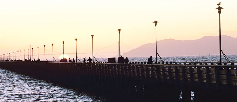 berkeley 1000x430 1 768x330