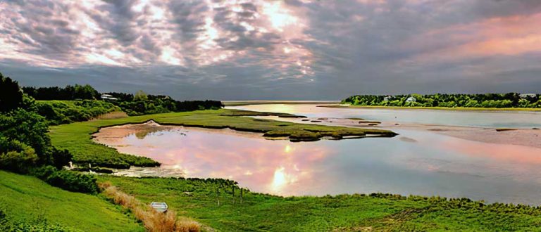 cape cod 1000x430 1 768x330
