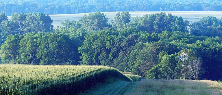 cedar rapids 1000x430 768x330