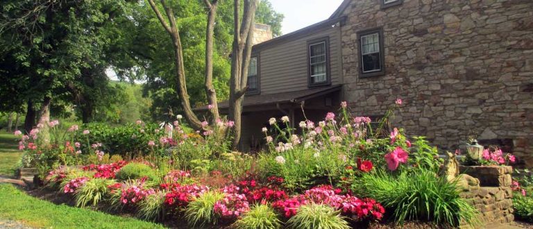 doylestown 1000x430 768x330