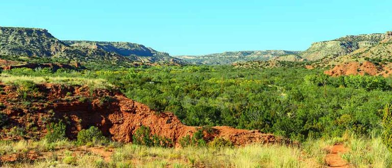 lubbock 1000x430 1 768x330