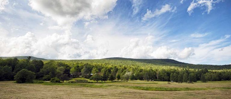 monadnock 2 1000x430 768x330