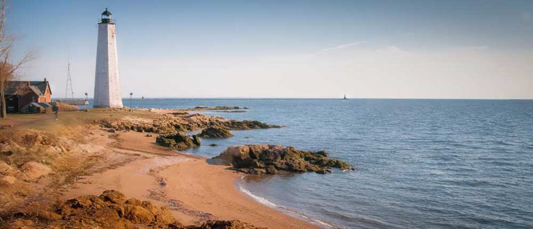 new haven 1000x430 768x330