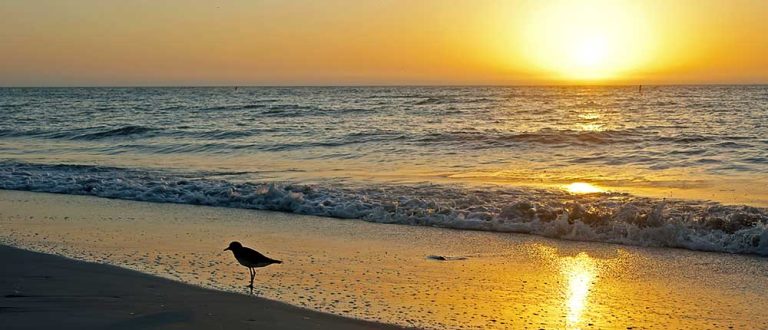 north palm beach 1000x430 768x330