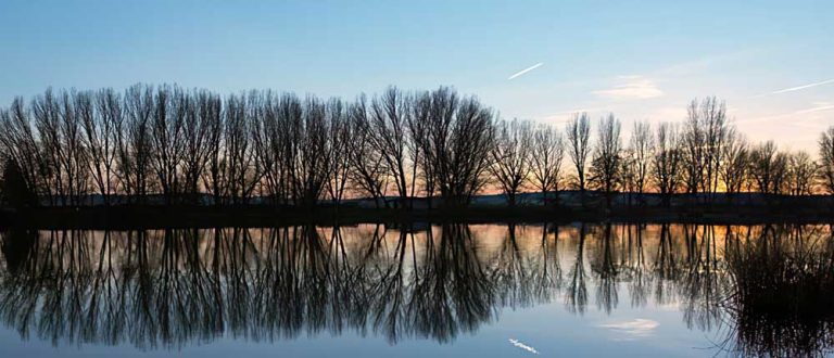 broward county fl 1000x430 768x330