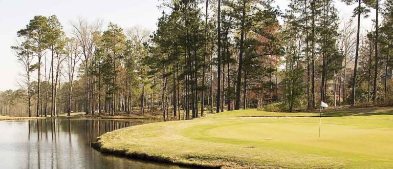 columbia sc 1000x430 768x330