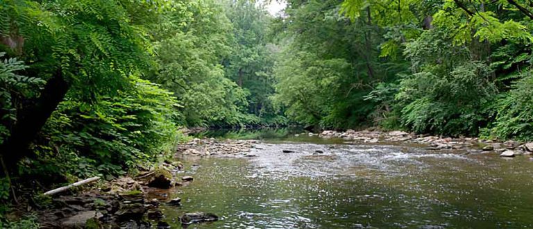 rochester mn 1000x430 768x330