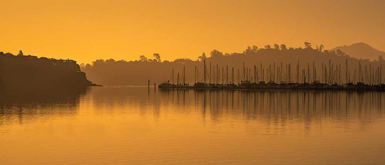 sausalito 1000x430 768x330