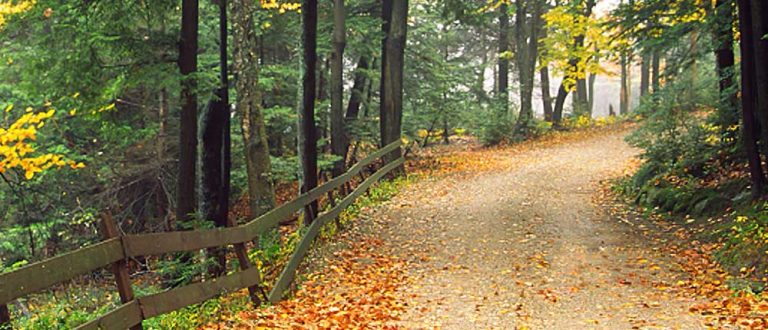 shrewsbury ma 1000x430 768x330