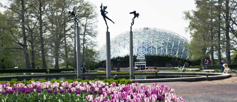 st louis brentwood 1000x430 768x330