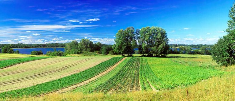 syracuse auburn 1000x430 768x330