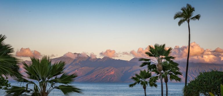 maui hi 1000x430 768x330