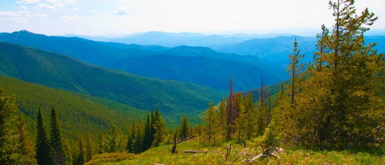 spokane 1000x430 768x330