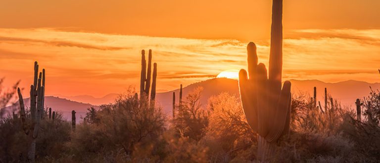 tucson az 1000x430 768x330