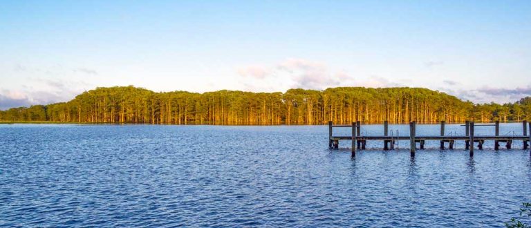 williamsburg va 1000x430 768x330