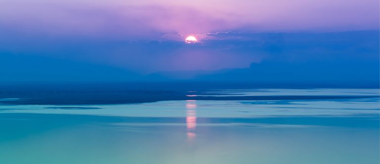 higher states 768x333