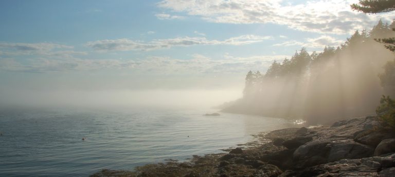 mid coast me 1000x430 1 768x345