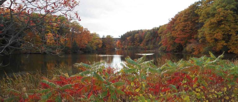 Bergen County 1500x645 1 768x330