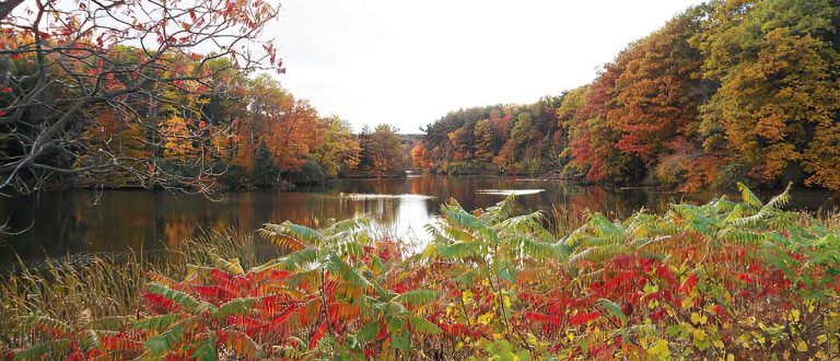 Berkshires 1500x645 SharpenAI Motion 768x330
