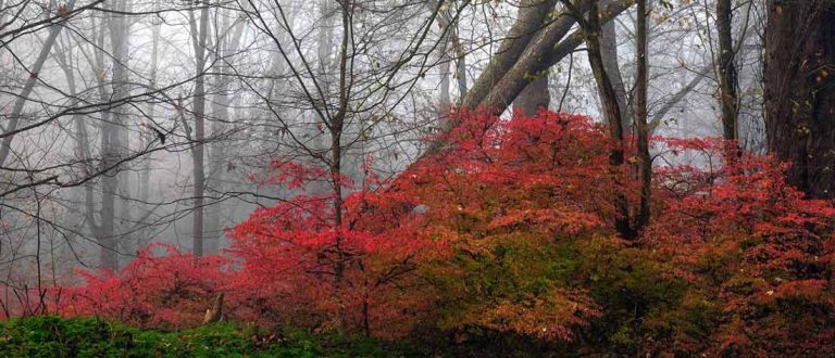 Hartford alt 768x330