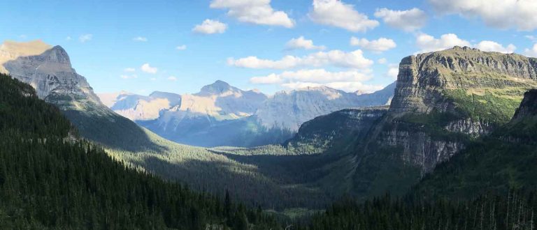 Montana 1500x645 1 768x330