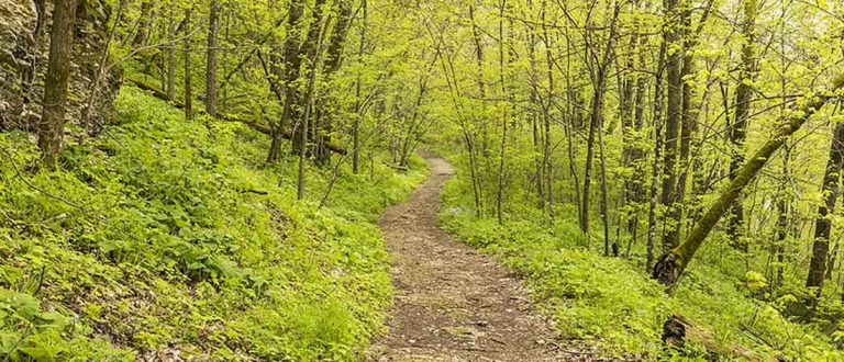 NatickFramingham 1500x645 1 768x330