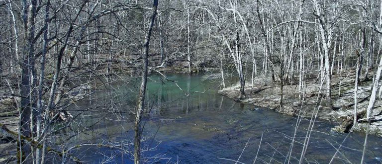 cIncinnati 1500x645 1 768x330