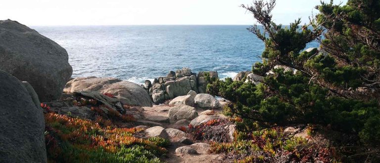 carmel 1500x645 768x330