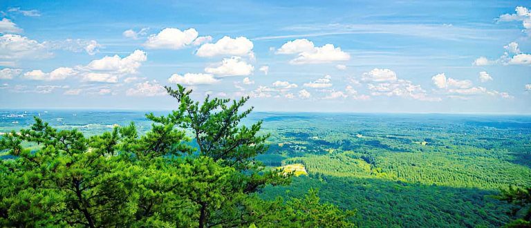 charleston sc 1000x430 SharpenAI Motion 768x330