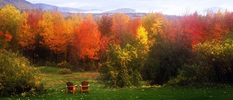 concord 1500x645 1 768x330