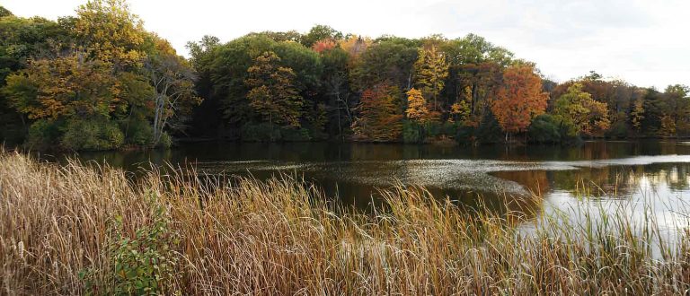 fairfield county ct 1500x645 SharpenAI Motion 768x330