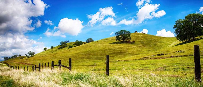 fresno Cio shp 1500x645 1 768x330