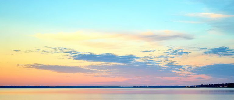 jackson gs 1500x645 1 768x330