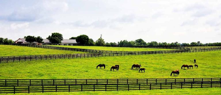 lexington Cio shp 1500x645 1 1 768x330