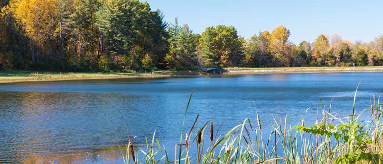 louisville 1400xxxx 768x330