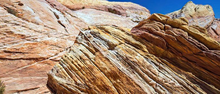 lv Cio shp SharpenAI Focus 768x330