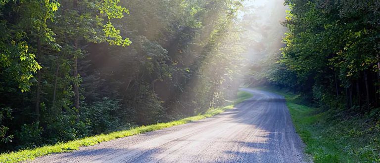 madisonwi g s 1500x645 1 1 768x330