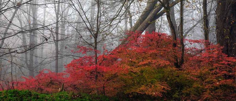 phoenixville malvern 1500x645 1 768x330