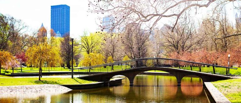 pittsburgh 1500x645 1 768x330