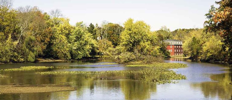 princeton nj 1100x430 768x330