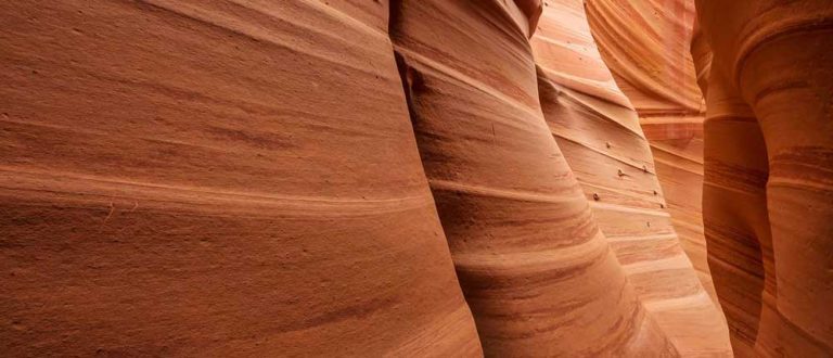 s utah Cio shp 1500x645 1 768x330