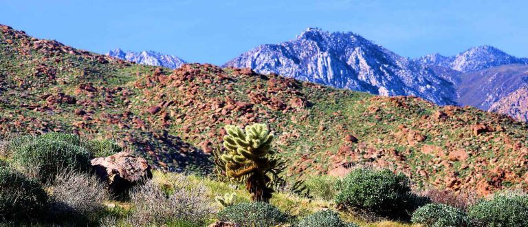 santa rosa 1500x645 1 768x330