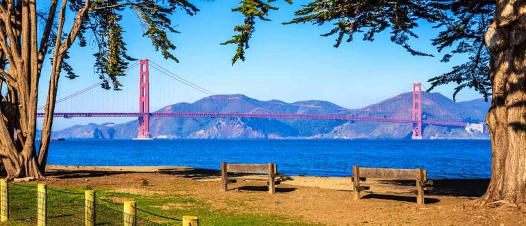 sf 1500x645 1 768x330