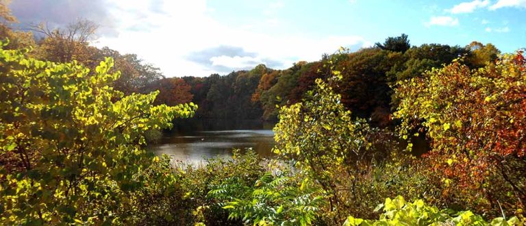 summitnj Cio shp1000x430 768x330