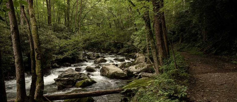 sva 1500x645 1 768x330