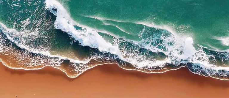 verobeach Cio shp 768x330