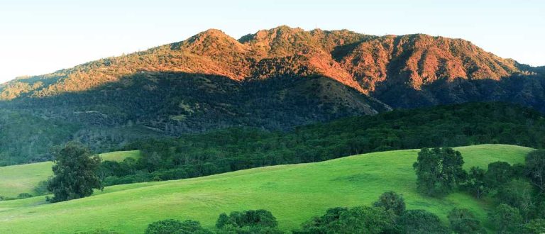 walnut creek 1500x645 1 768x330