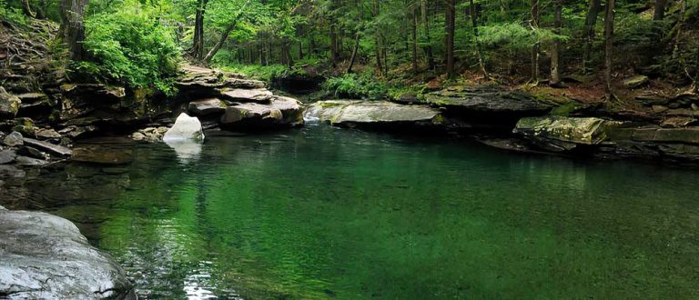 watertown 1000x430 SharpenAI Motion 768x330